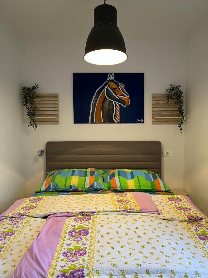 Apartment Sun&Sea, Senj, Prvi Red Do Mora Senj  Ngoại thất bức ảnh